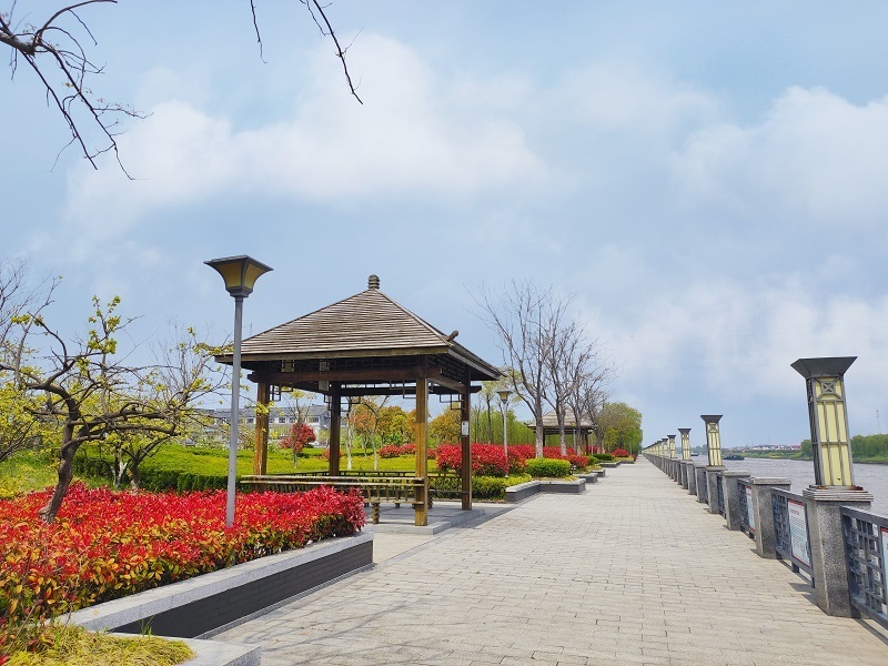 江苏盐城东台安丰镇：壮大特色产业振兴乡村