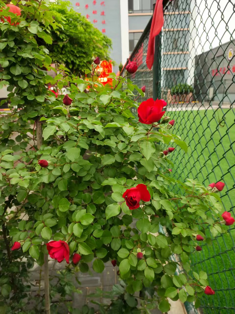 党建引领“微网格” 激发基层“新活力”