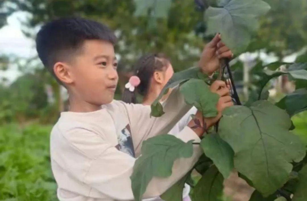 新时代美德信用建设——青岛西海岸新区张家楼街道开展丰收节主题实践活动