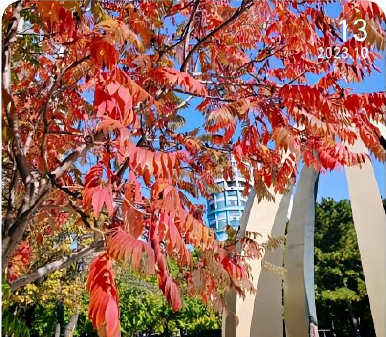 坚持党建引领 助推“小调解” 撬动基层“大治理”