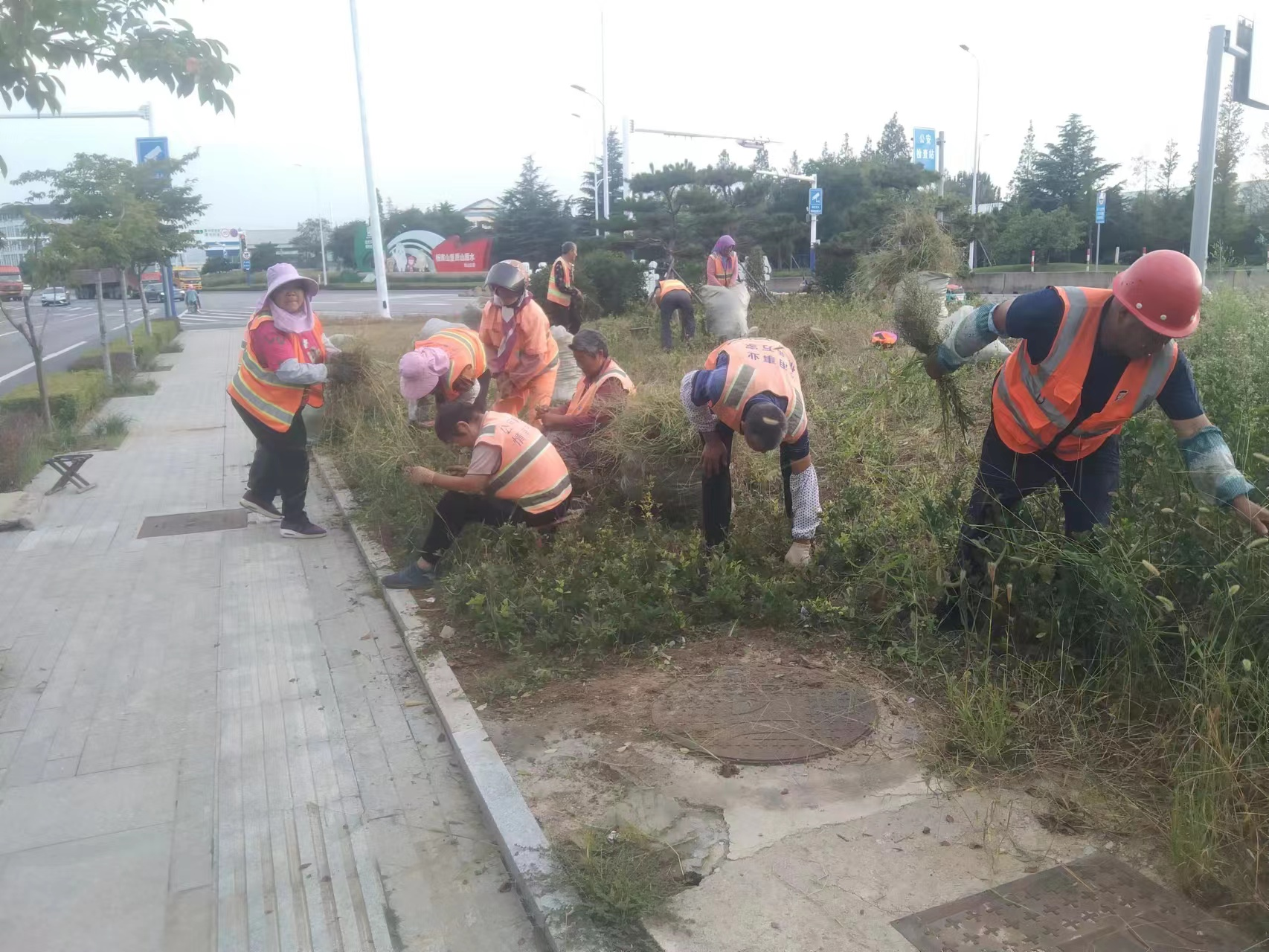 青岛西海岸新区铁山街道开展环境卫生攻坚行动