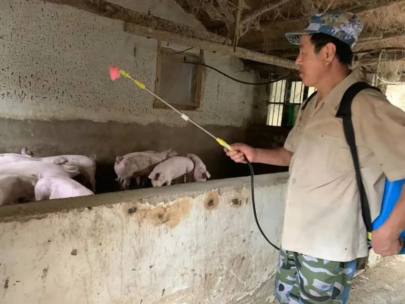 青岛西海岸新区滨海街道做好疫病防控工作，筑牢畜牧业“防火墙”