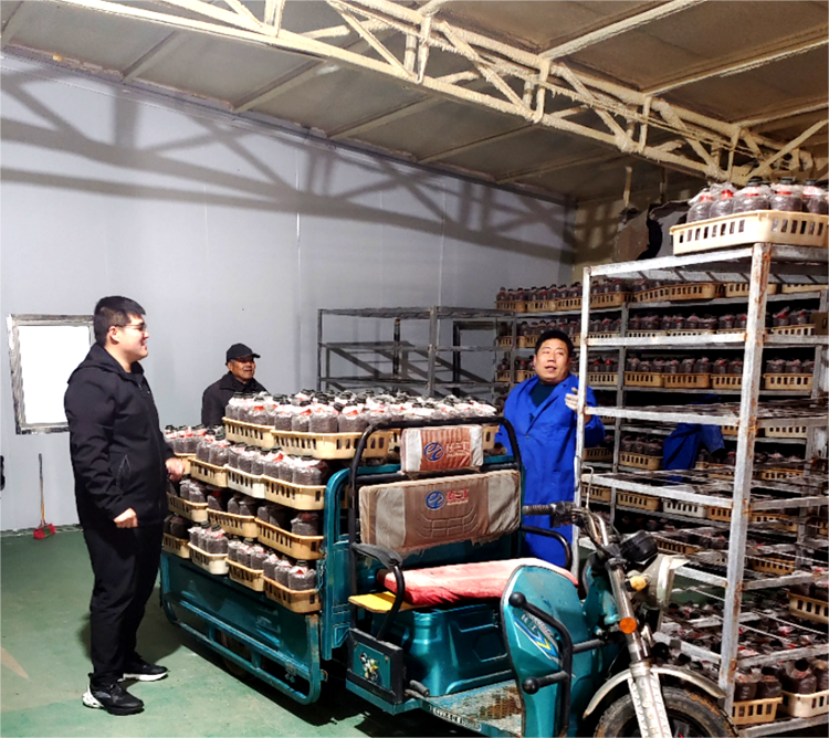 兰陵县：95后“沂蒙乡村好青年”的别样风采