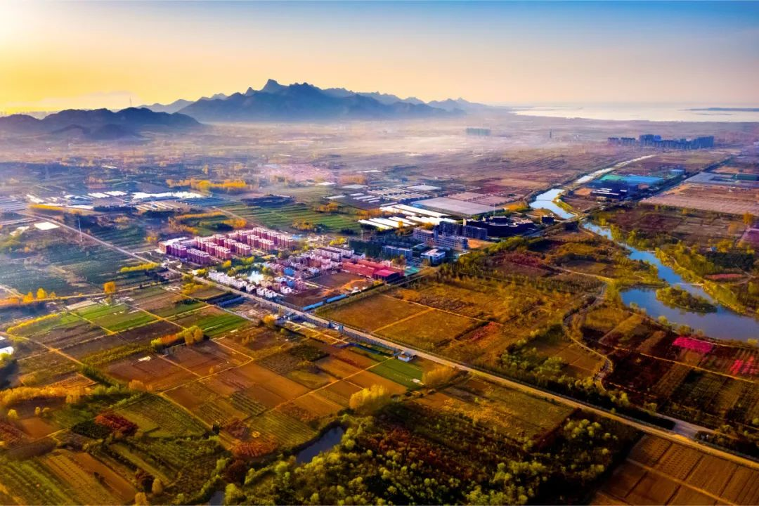 铆足干劲，勇毅前行—张家楼街道在青岛市农村人居环境集中暗访抽查中再获奖励