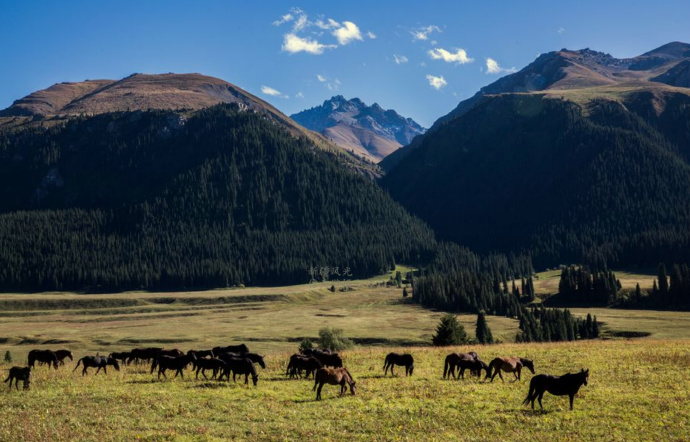 兰陵县：智能养殖产业助力循环经济发展