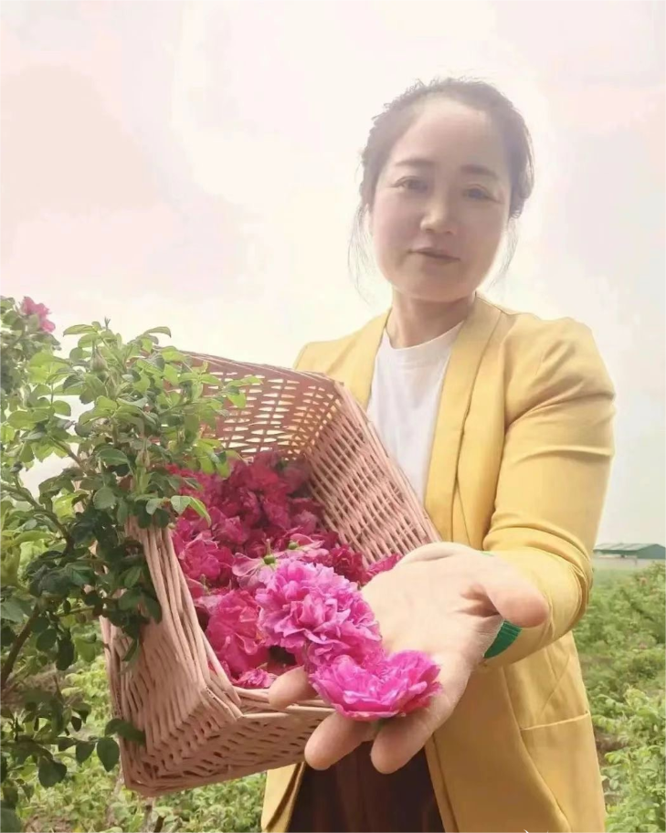 徐艳玲：玫瑰花开出“玫”好生活