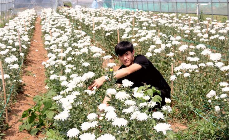 雁归来，开出朵朵“致富花”