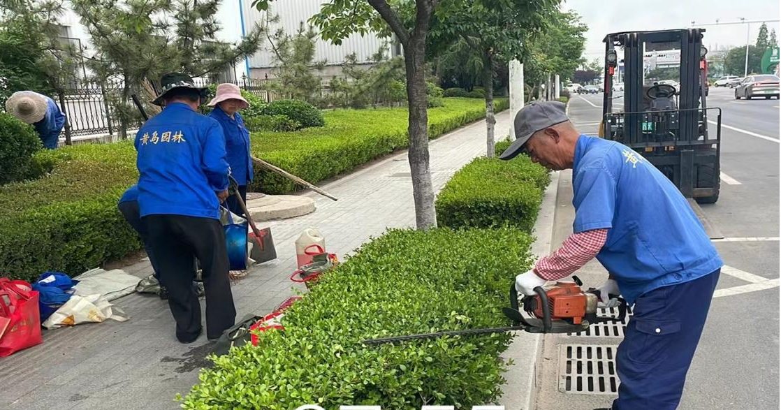 青岛市黄岛区铁山街道：补植补栽添新彩，“应季美景”接续来