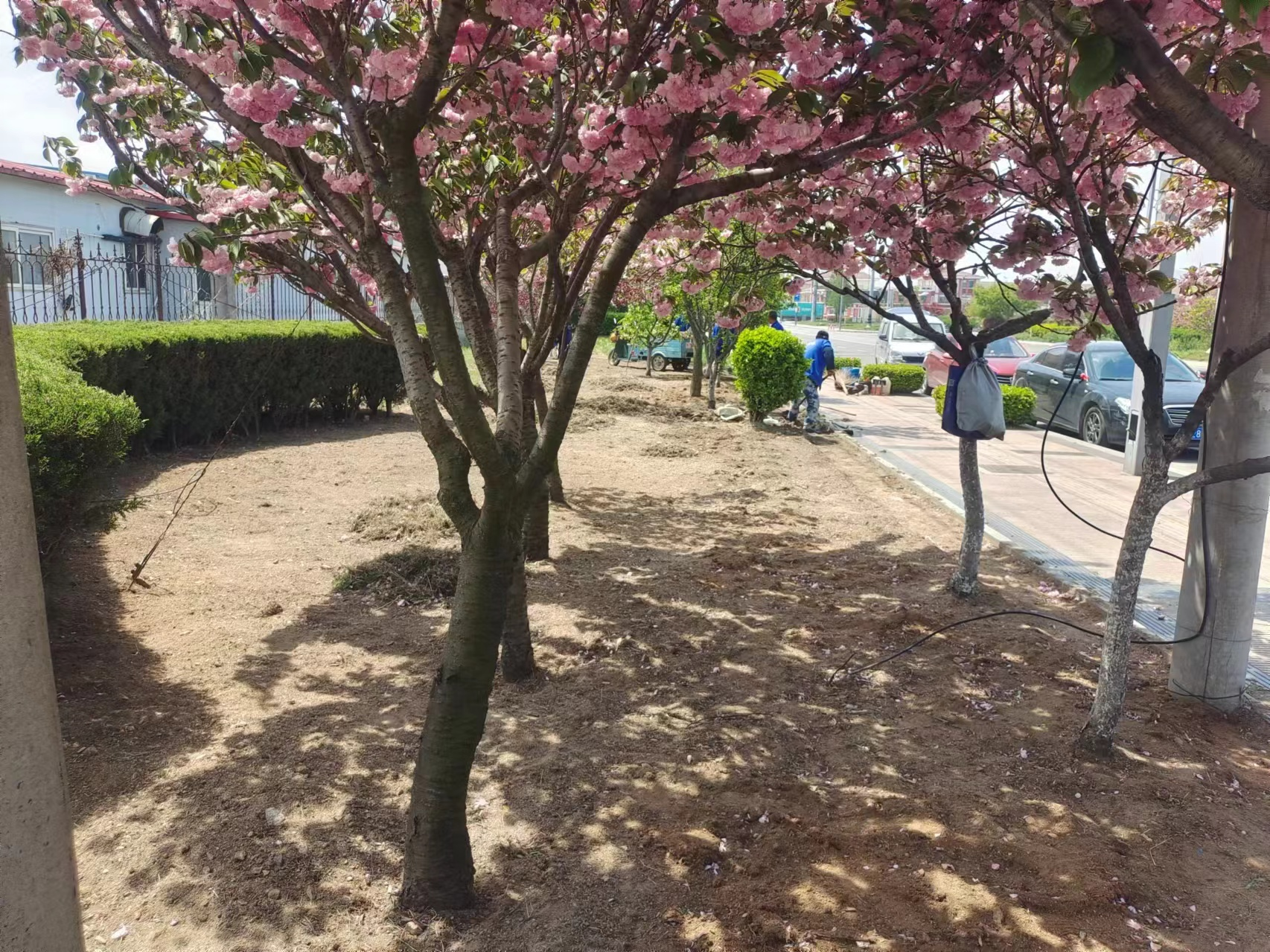 青岛市黄岛区铁山街道“微治理”推进城市管理精细化