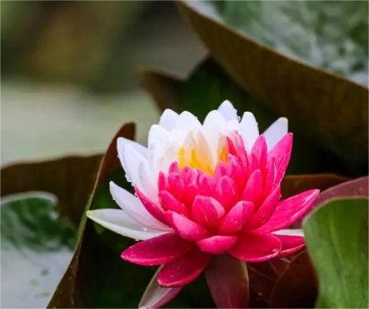 退伍军人逐梦乡村打造校服工装新篇章