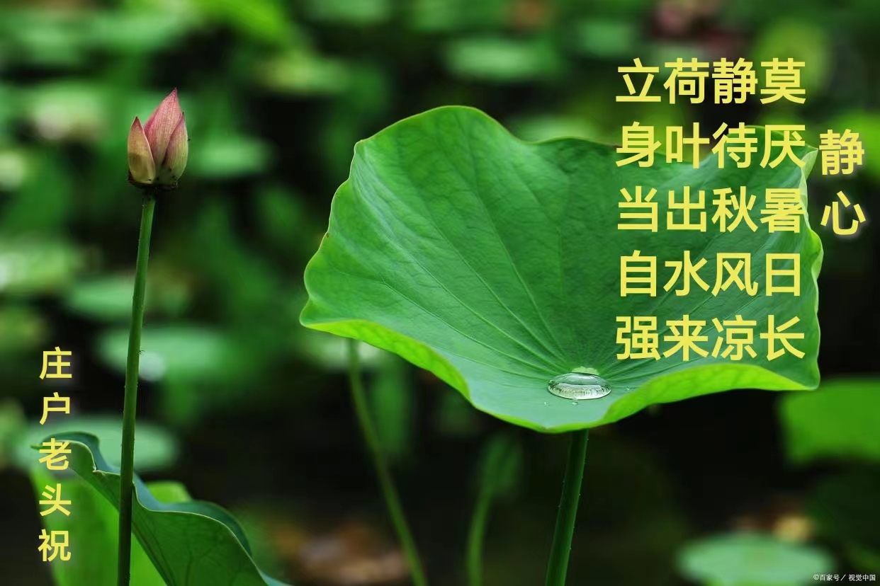 山东省兰陵县：关爱一老一小，守护朝夕美好