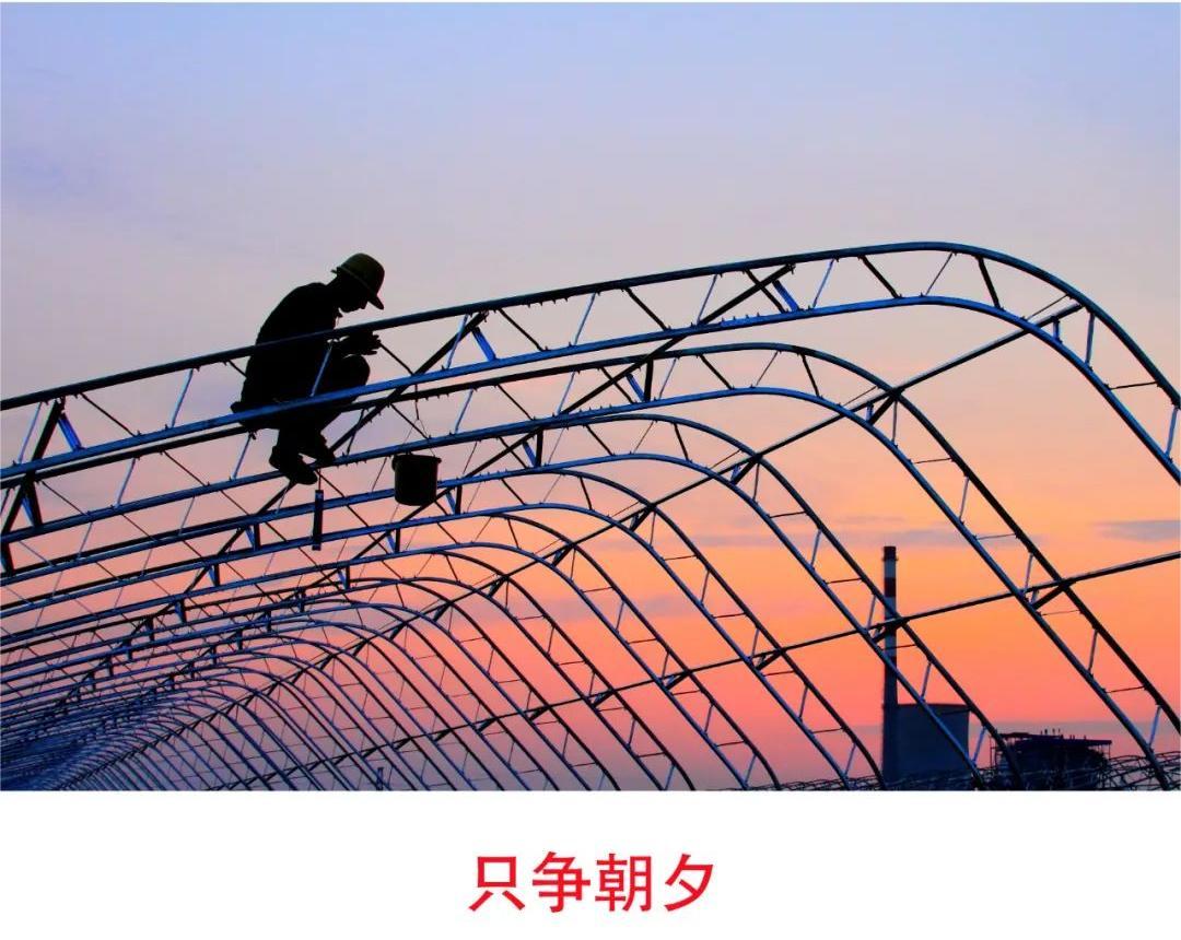 国网山东兰陵县供电公司：全面开展台区线损治理工作