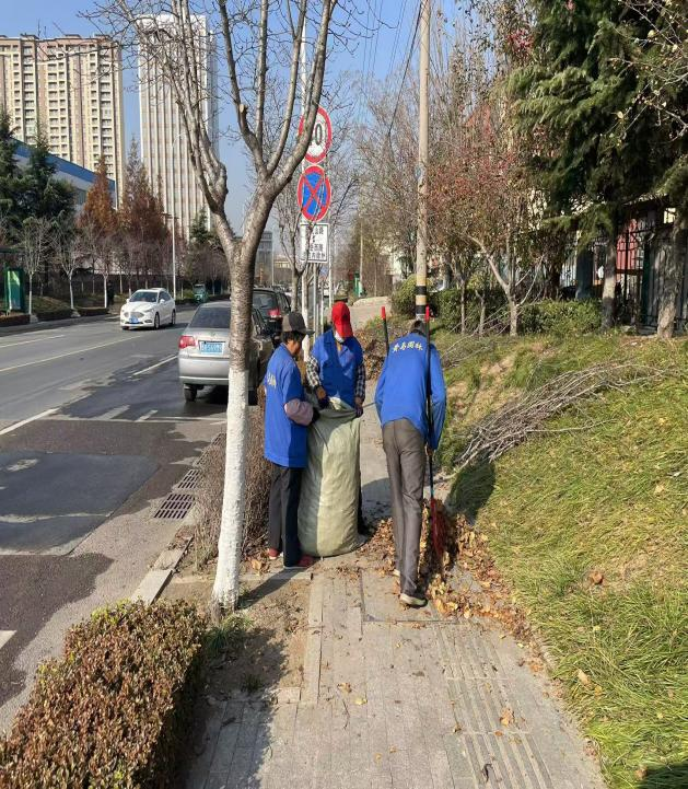 青岛西海岸新区铁山街道：绿化精细化管护“绣”出城市新风景