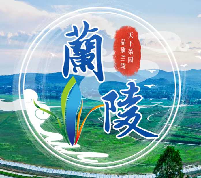 山东兰陵县小东山村户用微电网项目正式投入使用