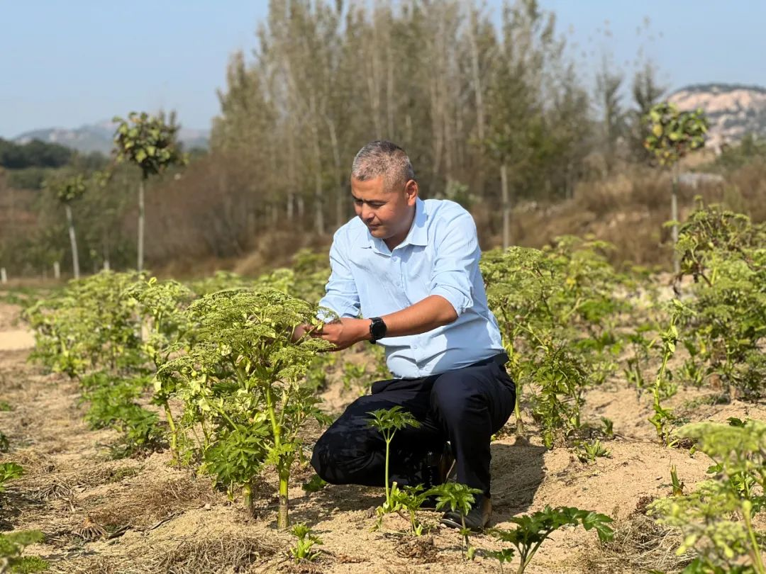 农村创业青年张茂华：小田地里有大志向，倾心打造康养生活庄园
