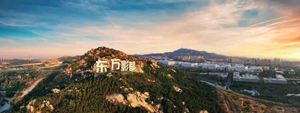 繁花绽放：一方影视沃土的耕耘之路