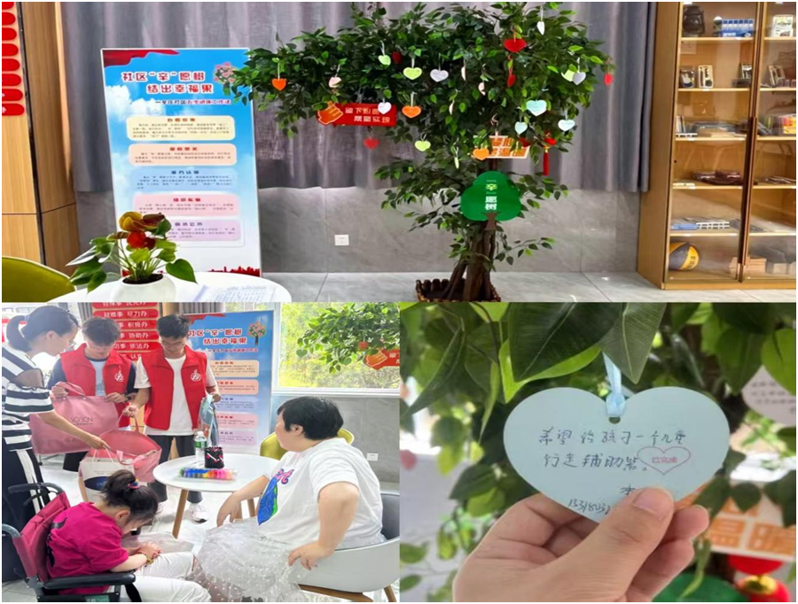 政务绿荫结硕果，