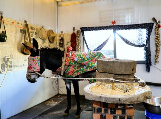 用“小犟驴”磨出乡村振兴新画卷