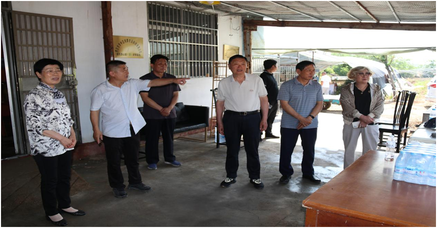 老科协开展专题调研活动  助力区域发展新质生产力