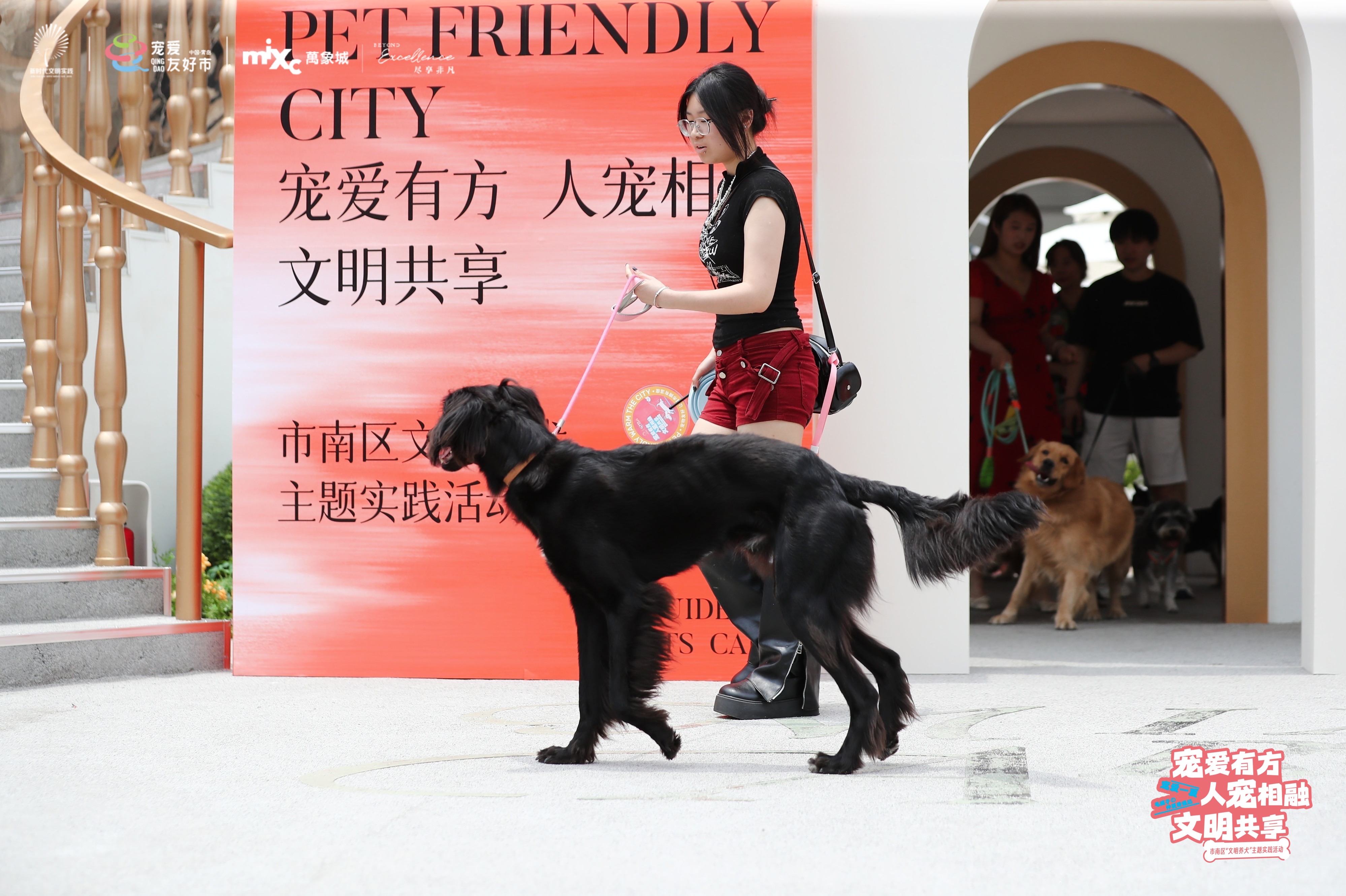 青岛市市南区举办“宠爱有方 人宠相融 文明共享” 文明养犬主题实践活动