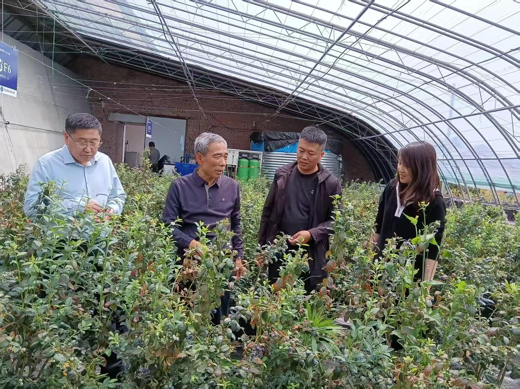 青岛西海岸新区关工委组织老专家为青年农民提供科技服务