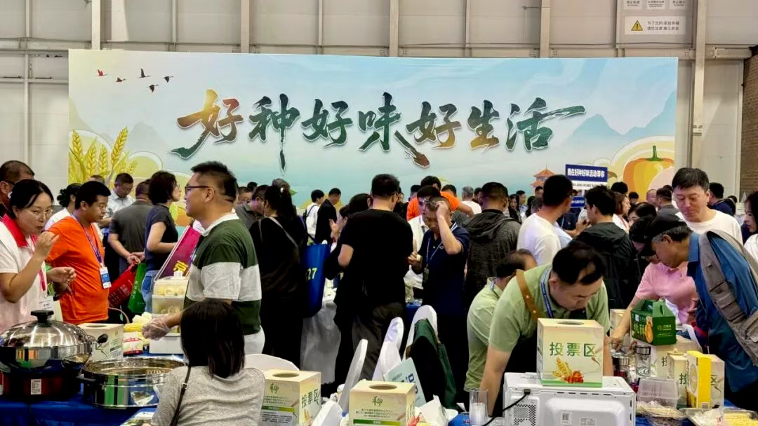 “三展联办”！“国家级平台+地方特色”种业盛会在青岛举办