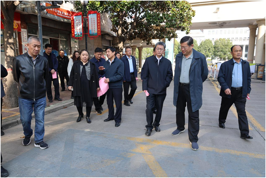 山东省枣庄市中区人大代表永安镇代表小组开展视察暨“双联”活动