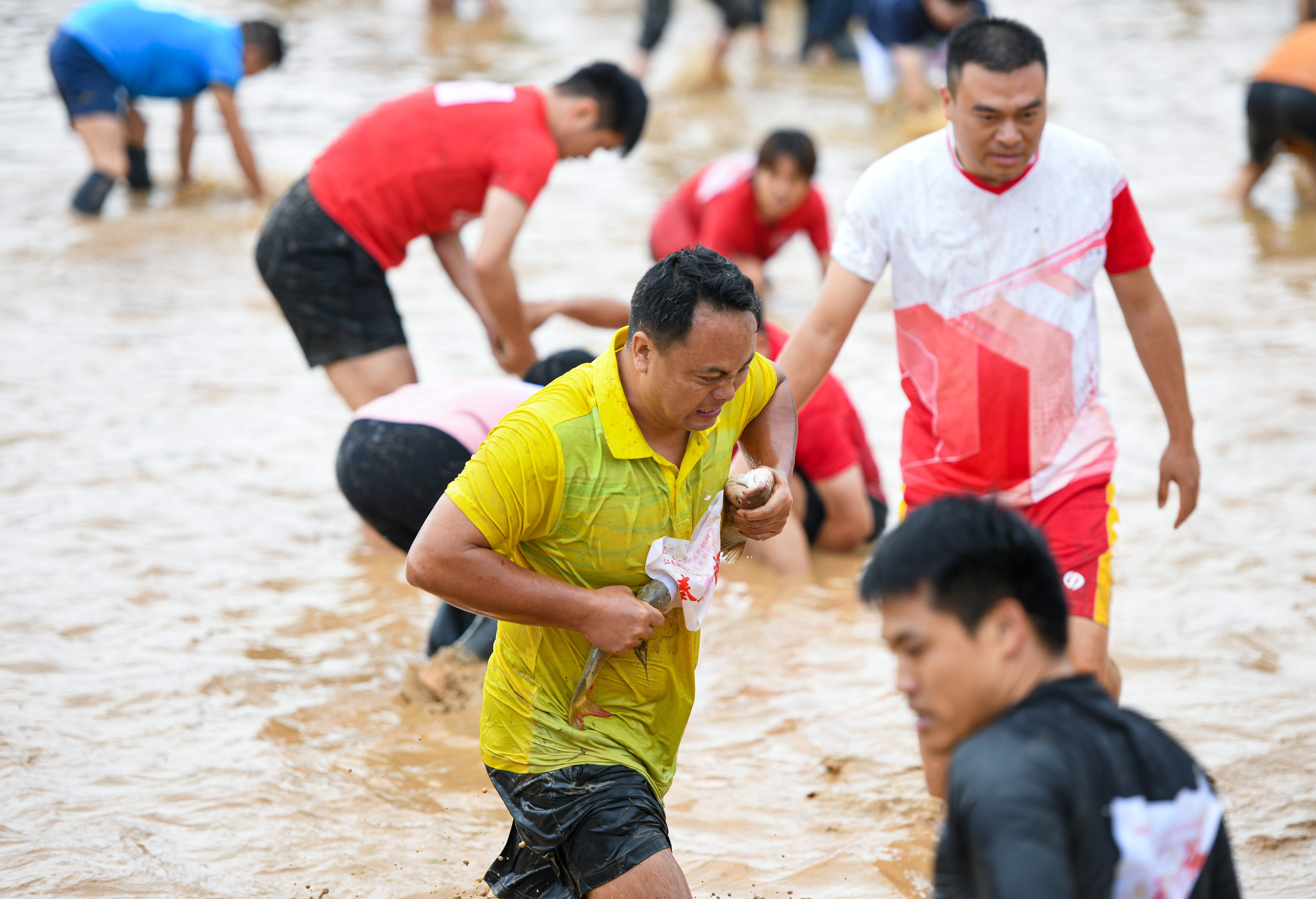 江西奉新：农耕竞技显身手