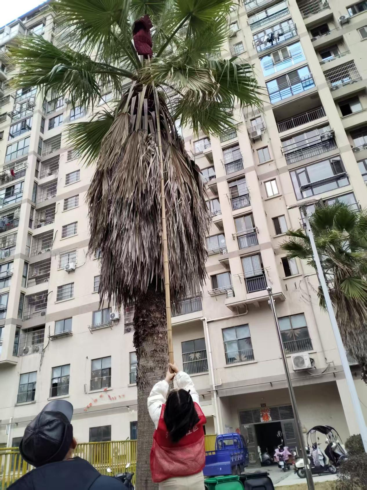 江西奉新：小小暖心事浓浓网格情